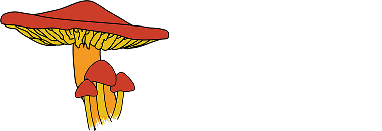 Pitriyah Logo